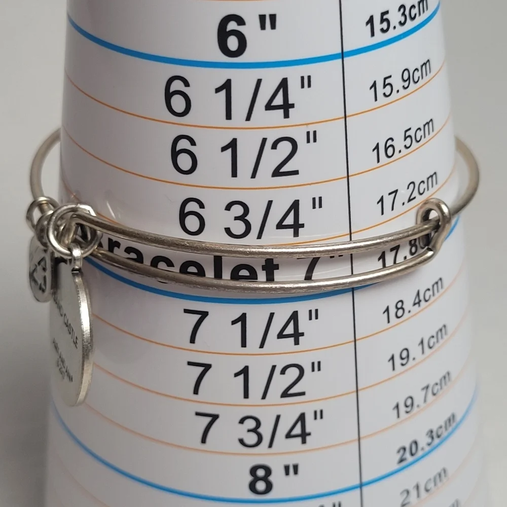 Alex & Ani Sandcastle Charm Bracelet 2017 Silver Tone NWT